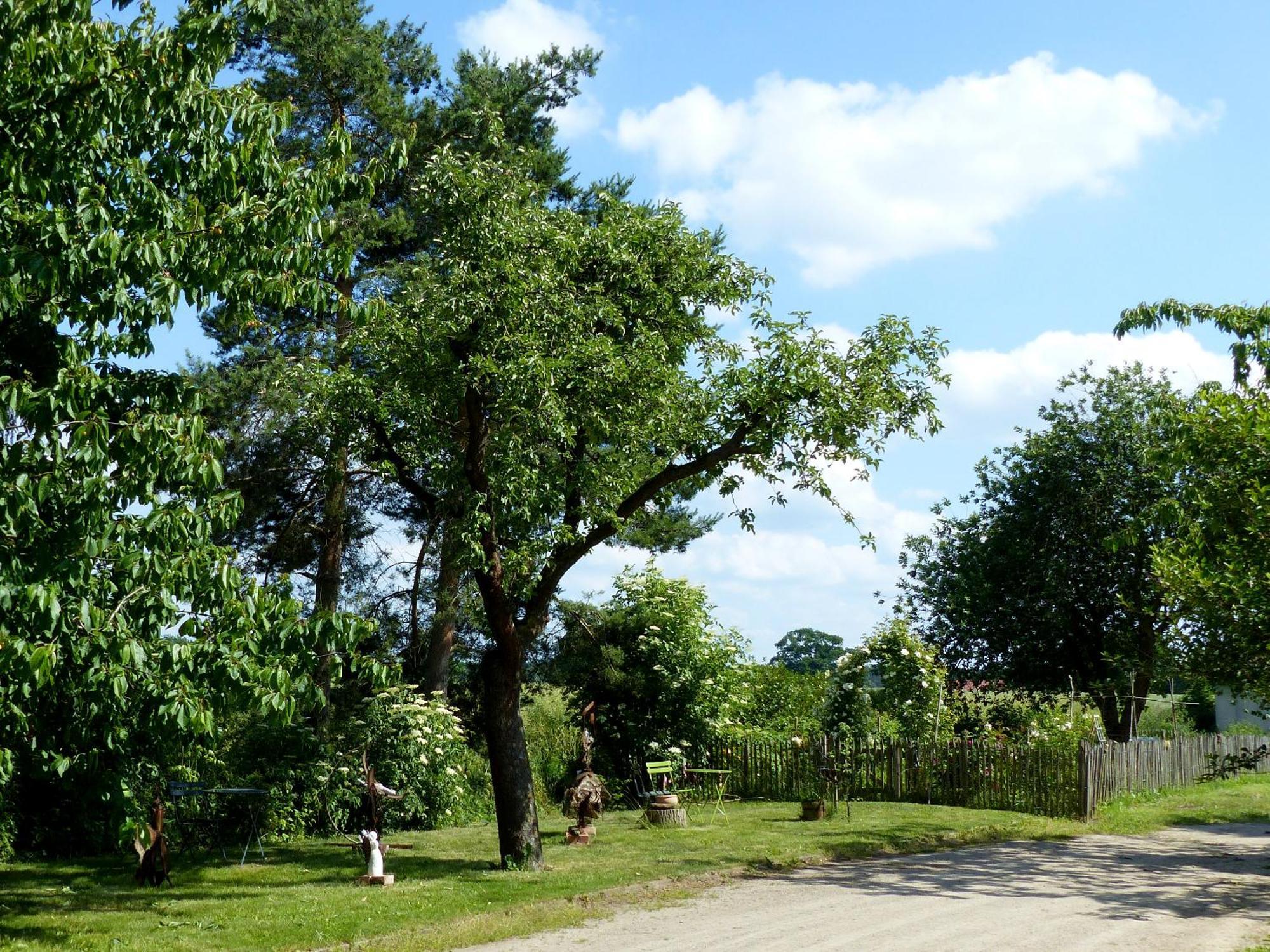 Hof Sorgenlos Gross Gievitz Ngoại thất bức ảnh